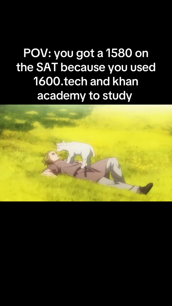 @samstudies67