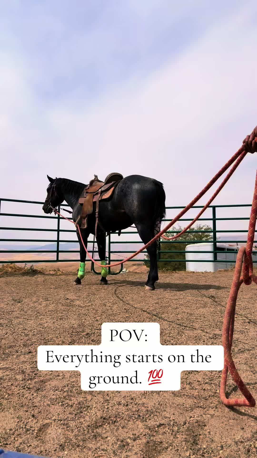 @Cowgirl Tuff Colt Training ❤️