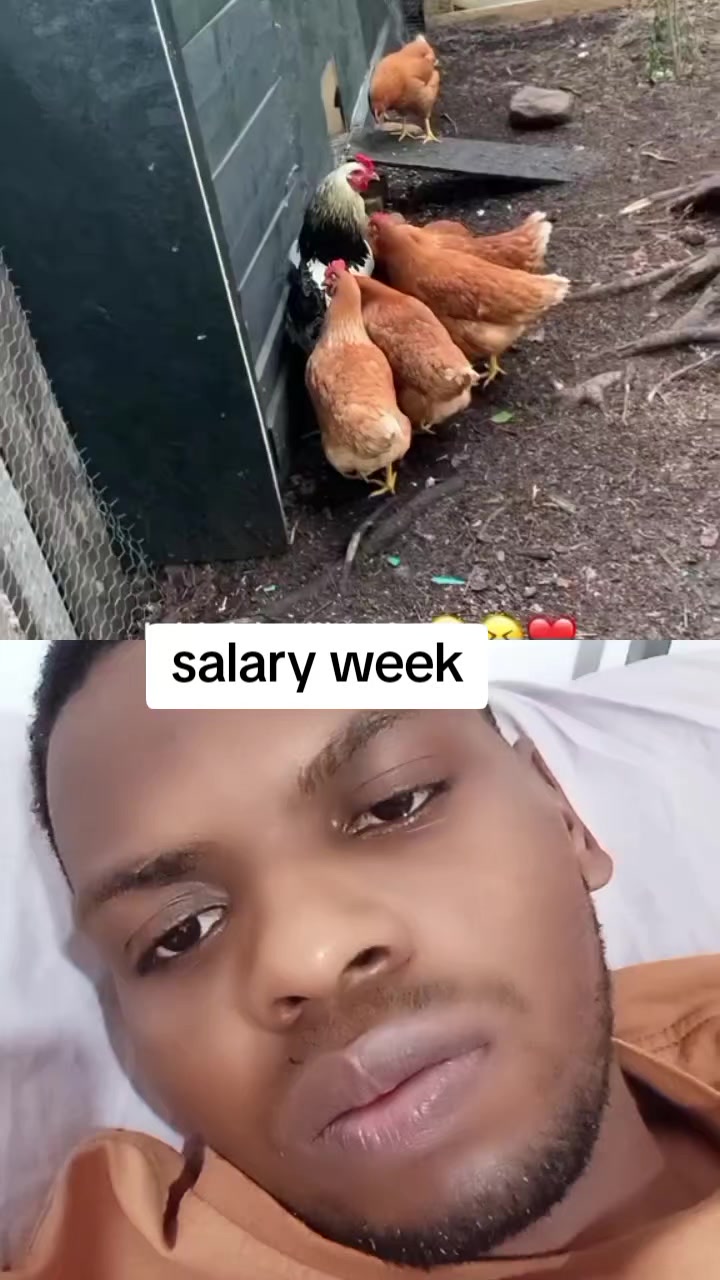 @kuraish