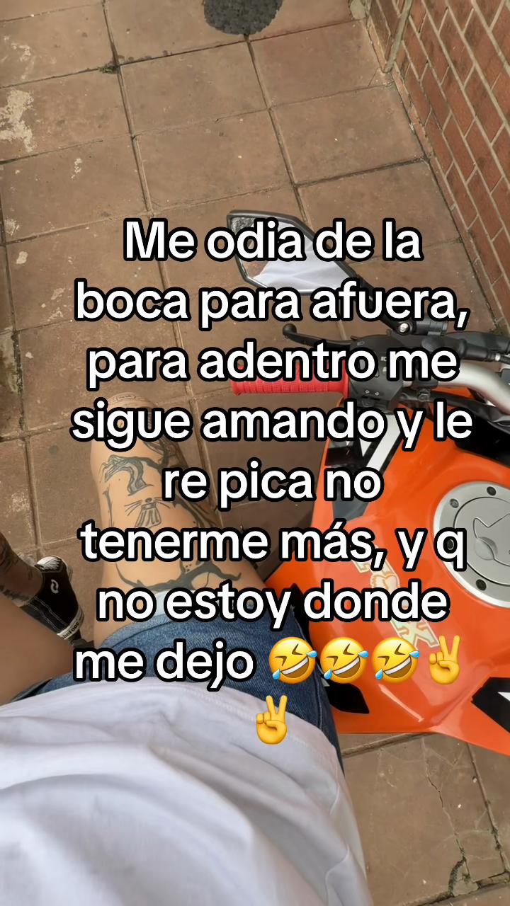 @sofiairossi