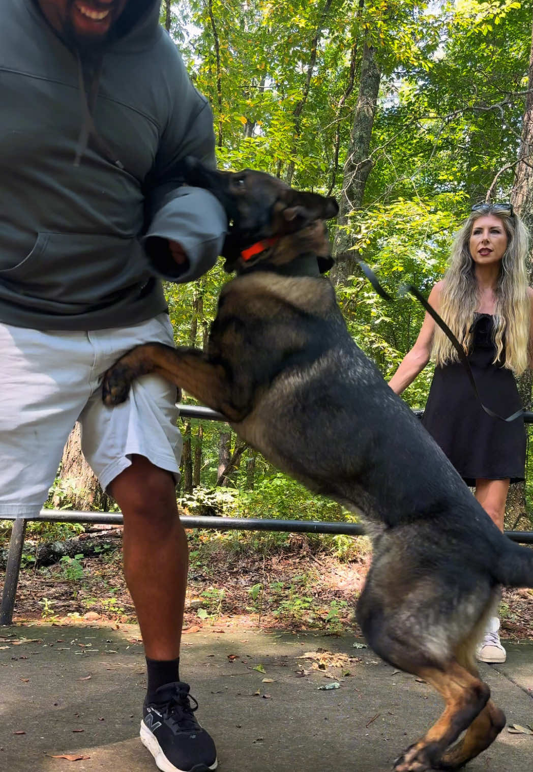 @True Guard K9 I Tara