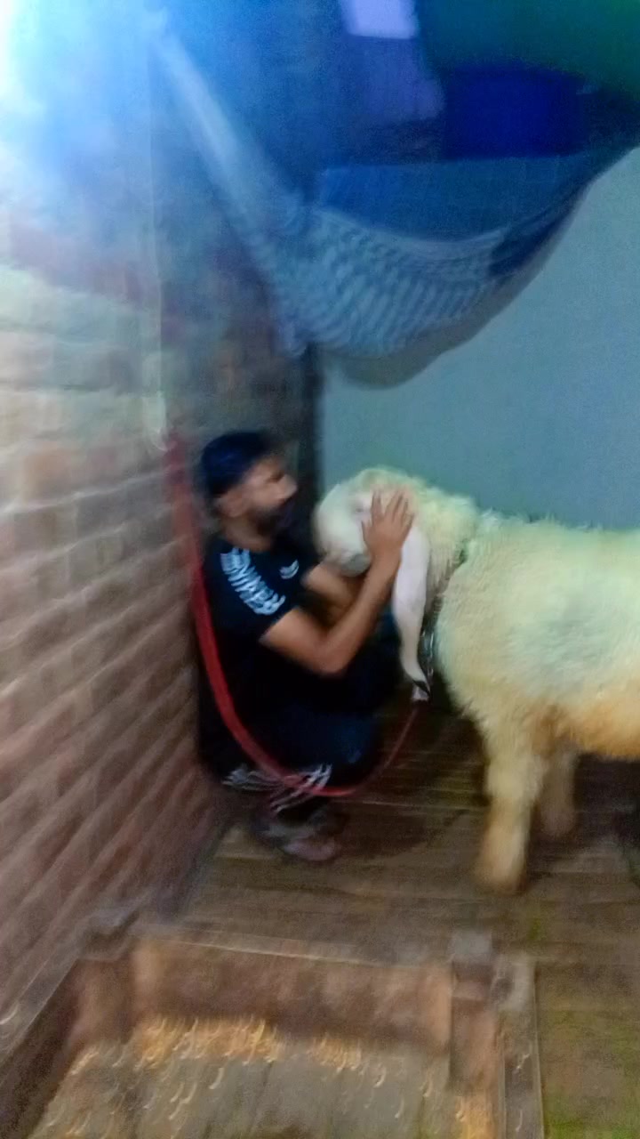 @Dada Peer