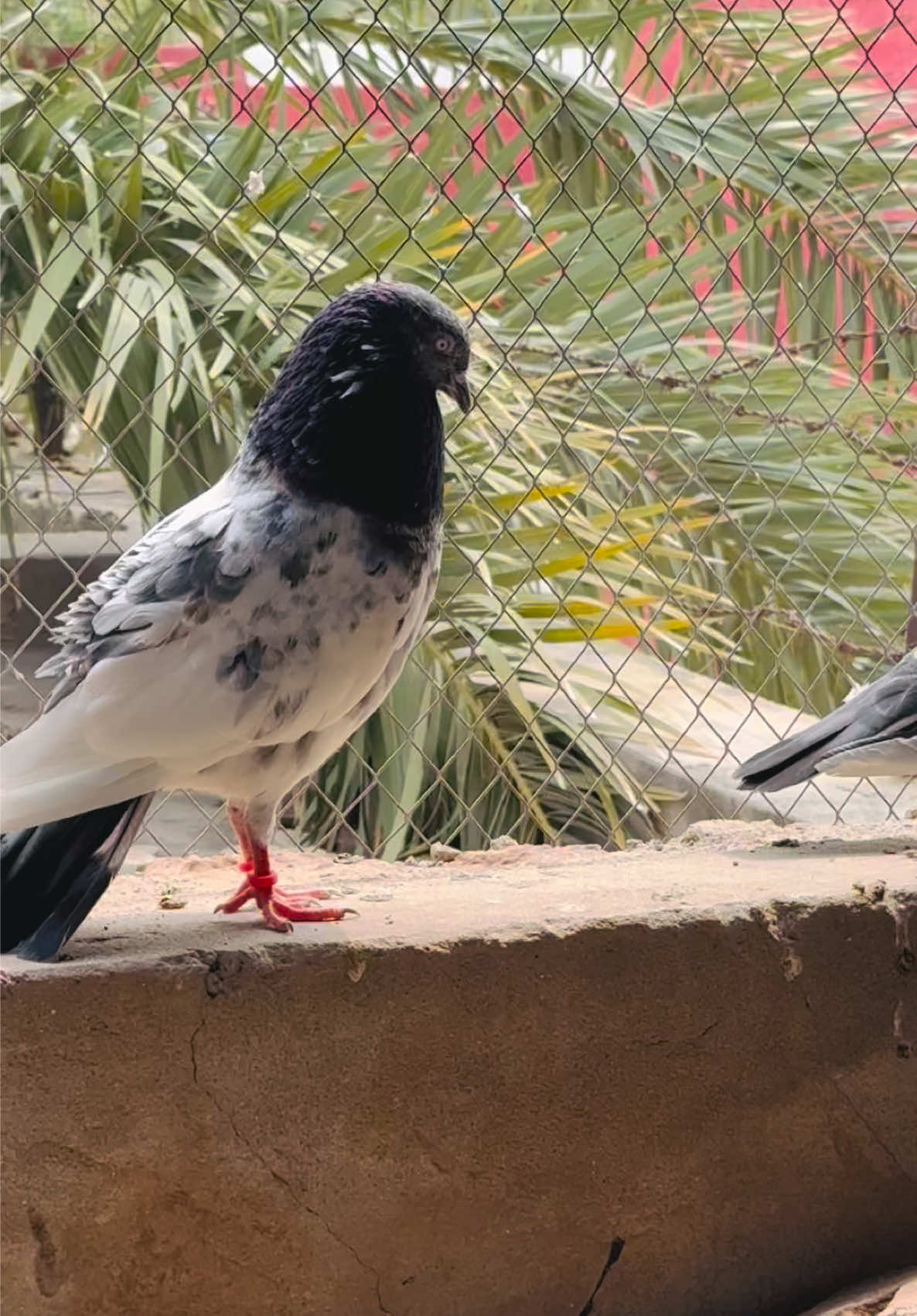 @شوق 🫀