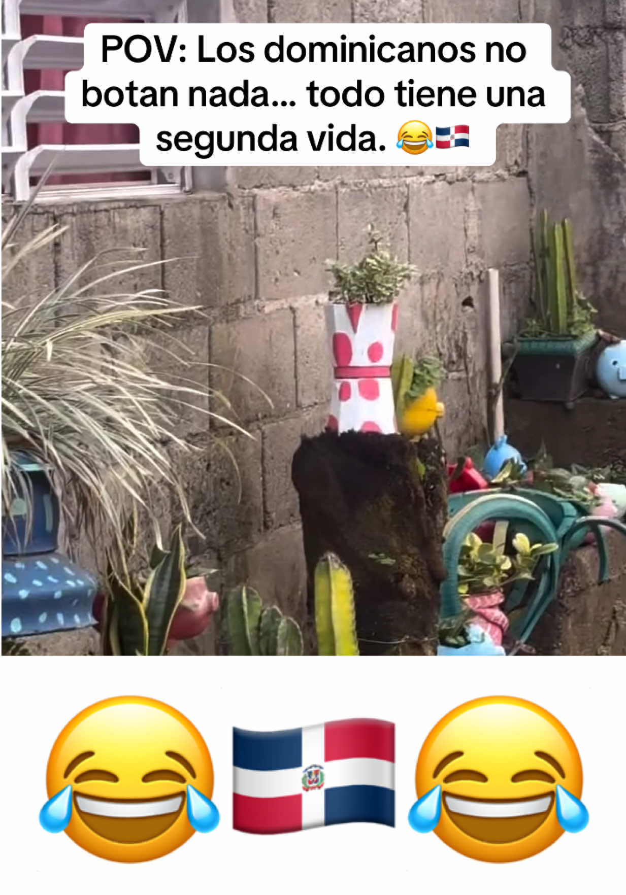 @Smarlin Vargas💋
