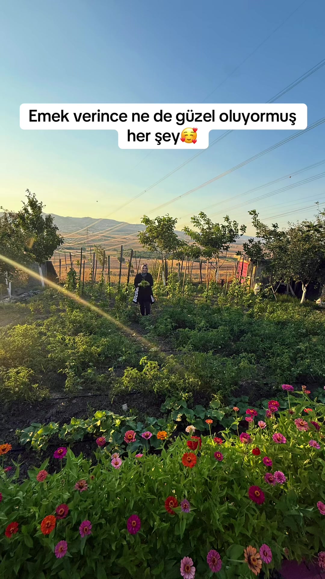 @zeynepceeblog