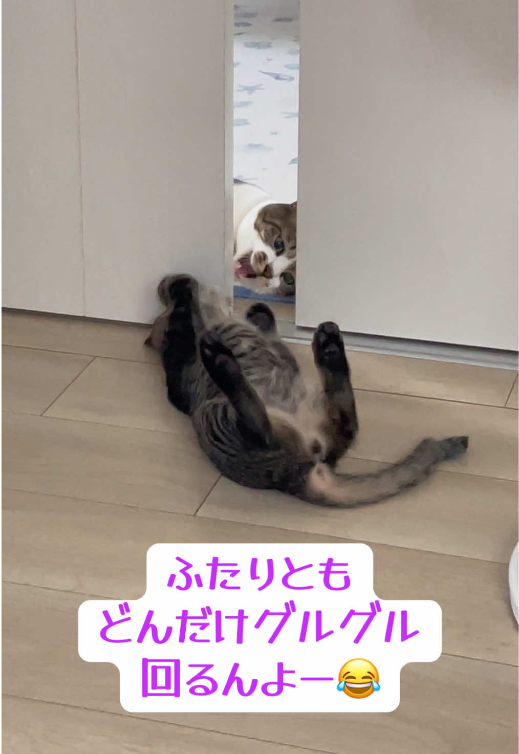 @ねこまみれ