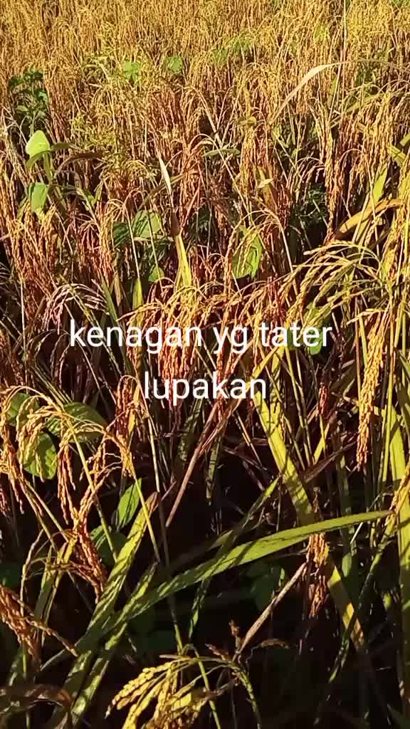 @Ahmad Yani