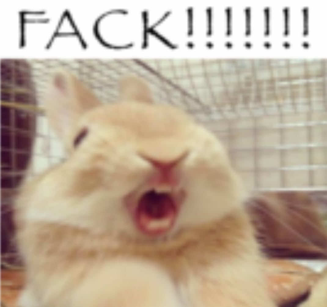 @Xtra_bun