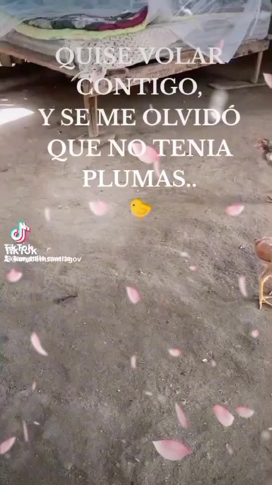 @user05888382525