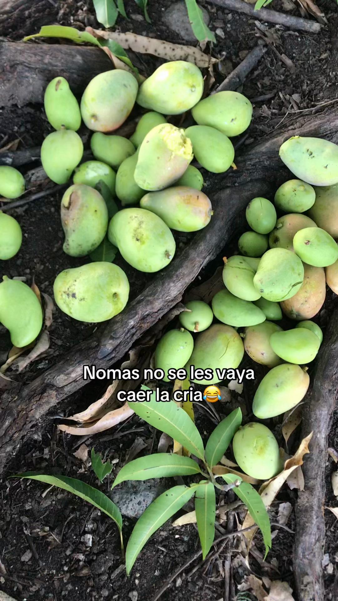 @Martinez503🇸🇻