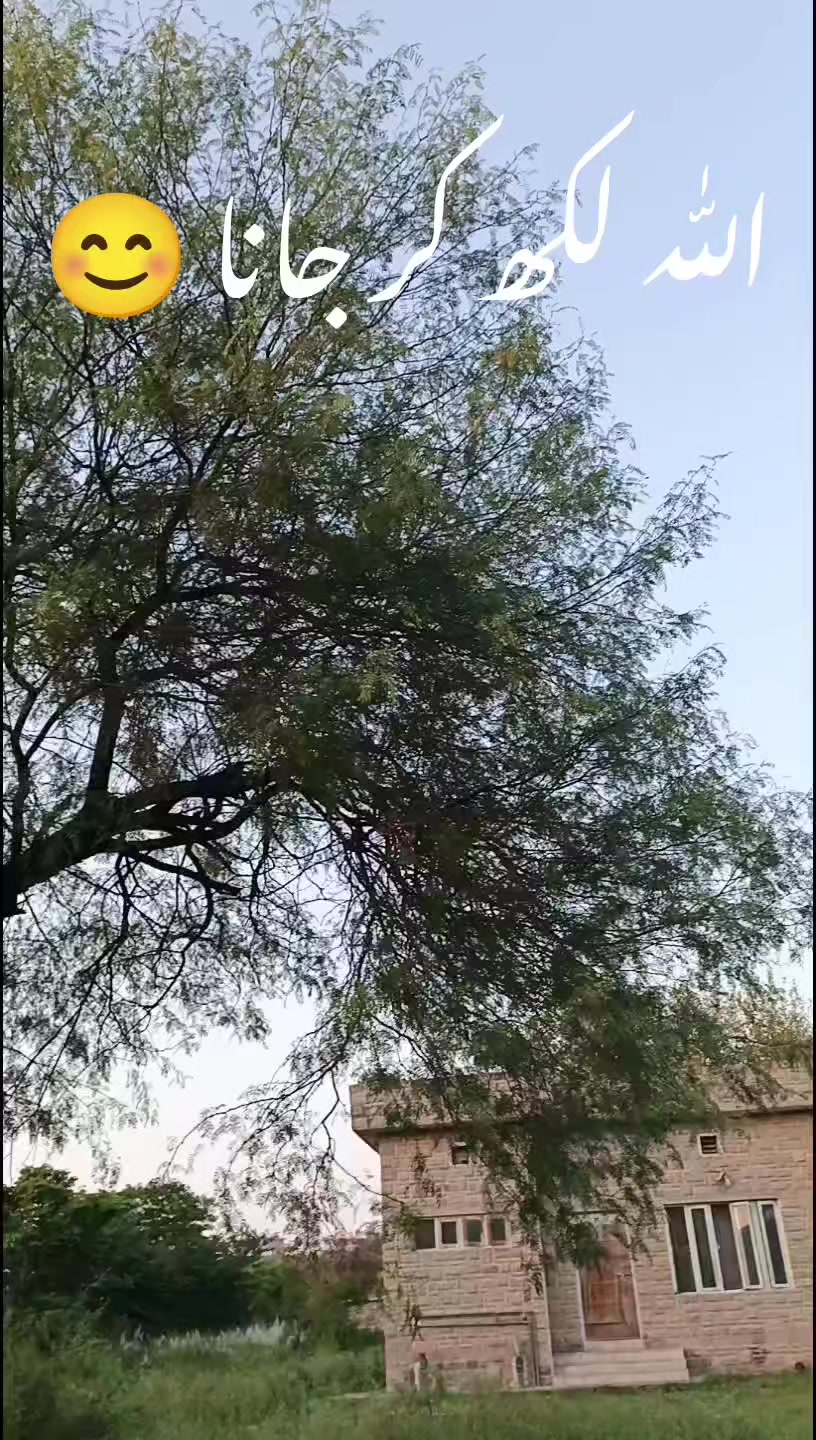 @ISLAMIC VIDEOS✅