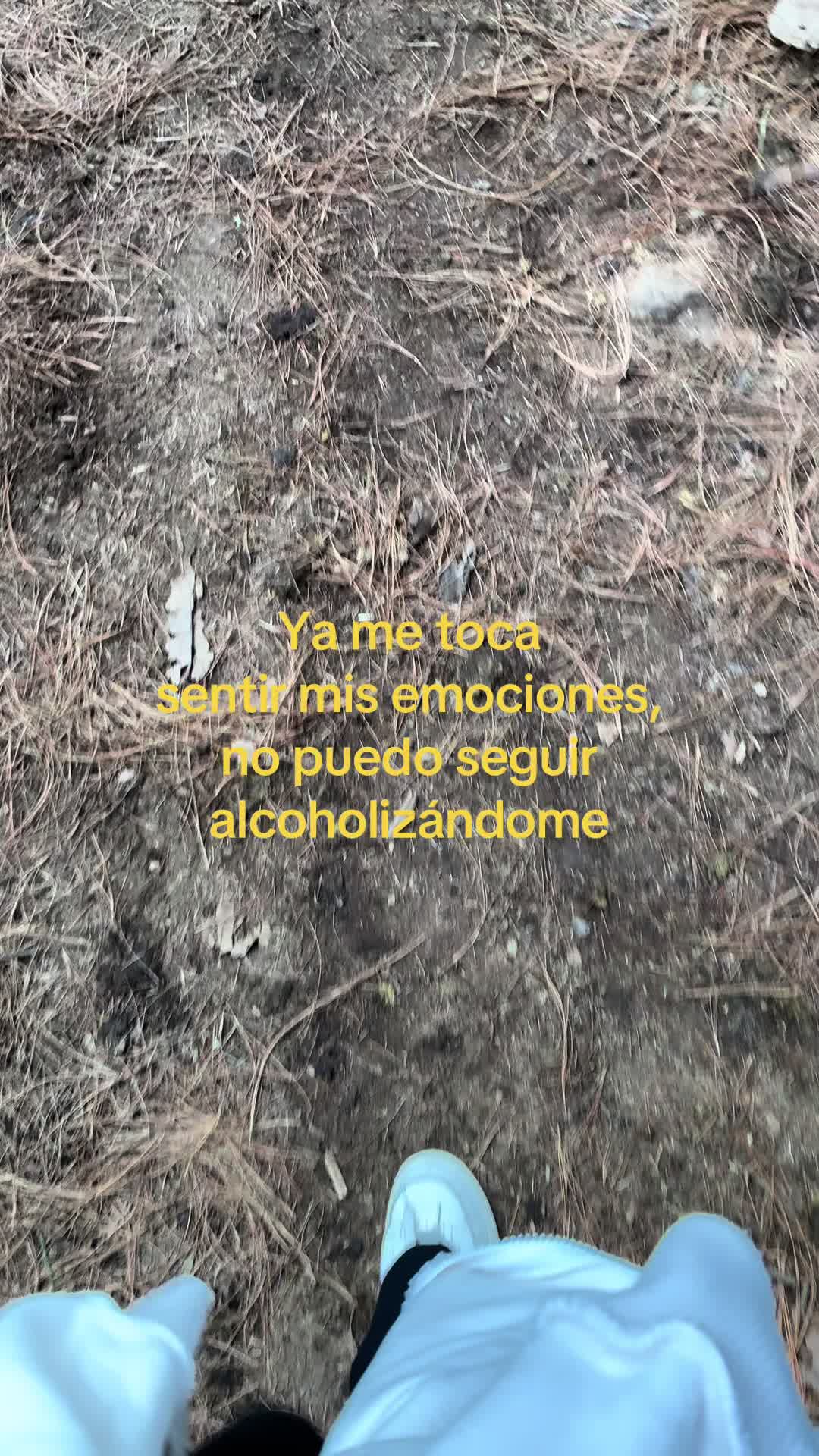 @𝐓