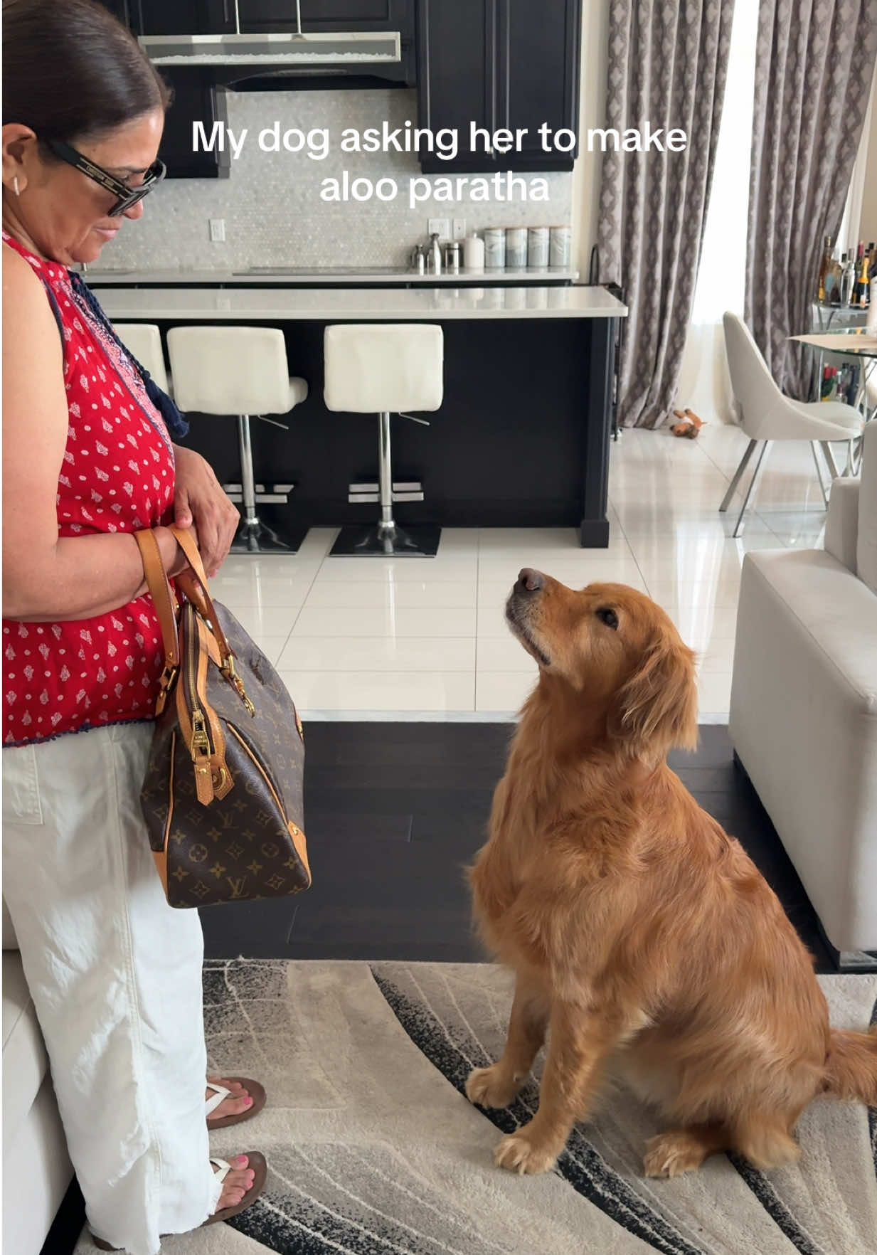 @Bentley the Spicy Golden🌶️