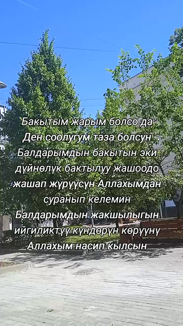 @BERMETIC