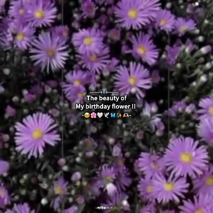 @—͞𐙚𝐒α𝐛𝐢яᴀ᭡ !!𐙚🌷🕸️
