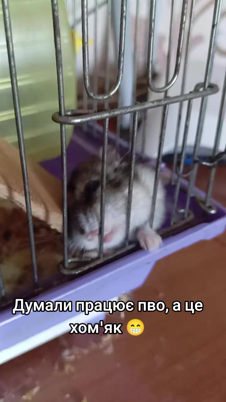 @🇺🇦Людмила🇺🇦