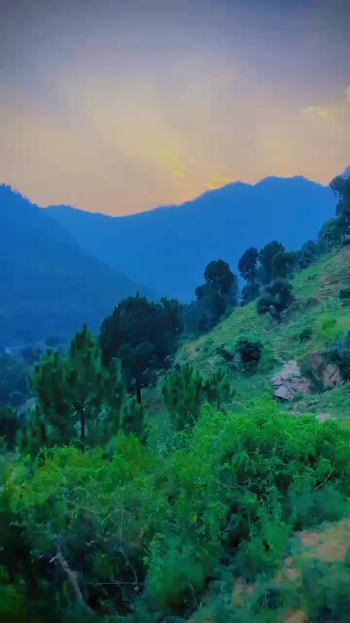 @Zia ...ullah