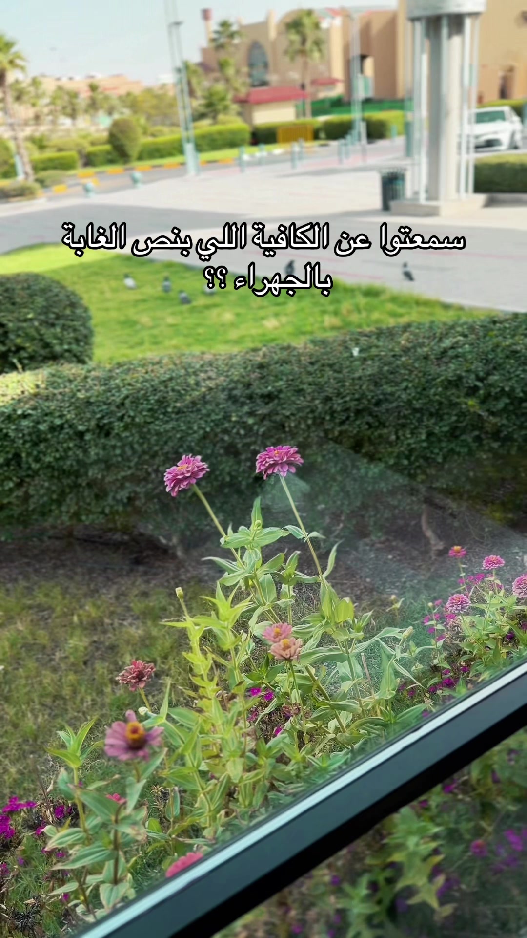 @ahmedbnsultan