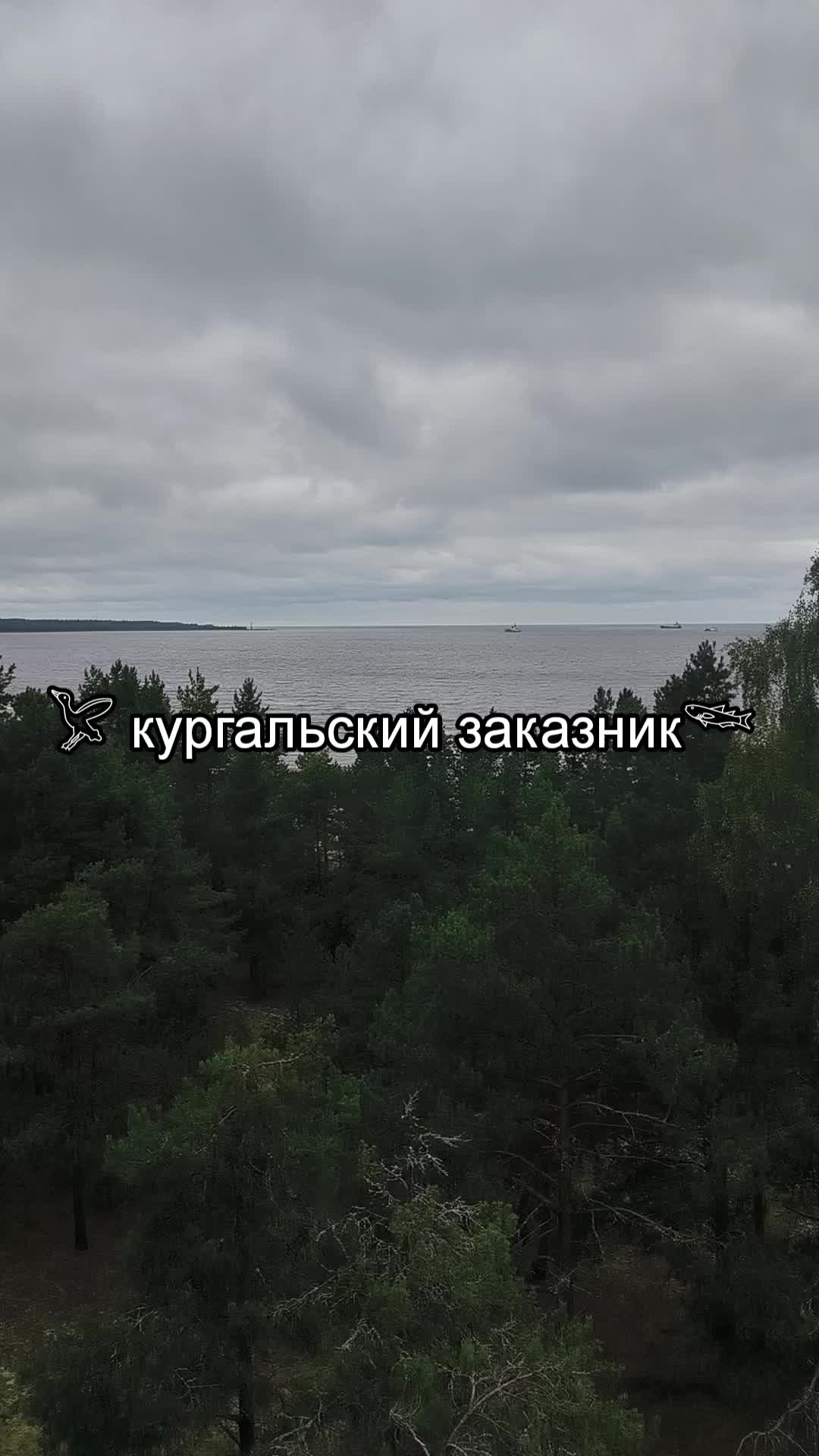 @[@] shishkarda 𔓘