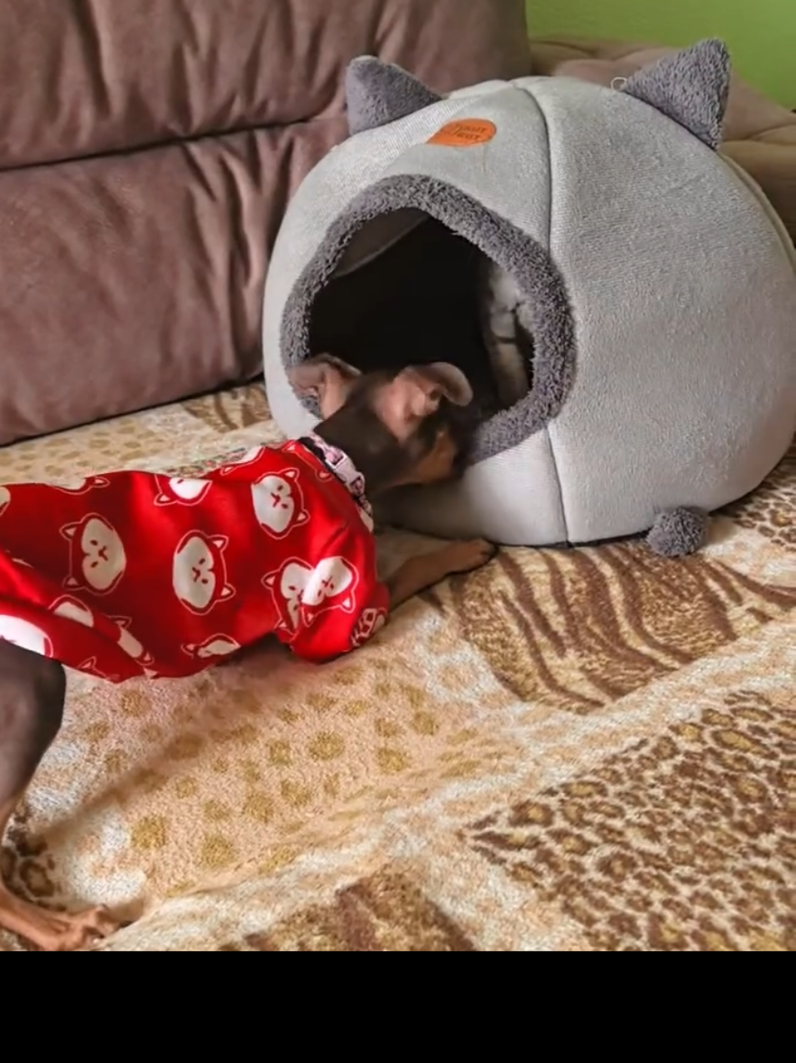 @Бонимиро