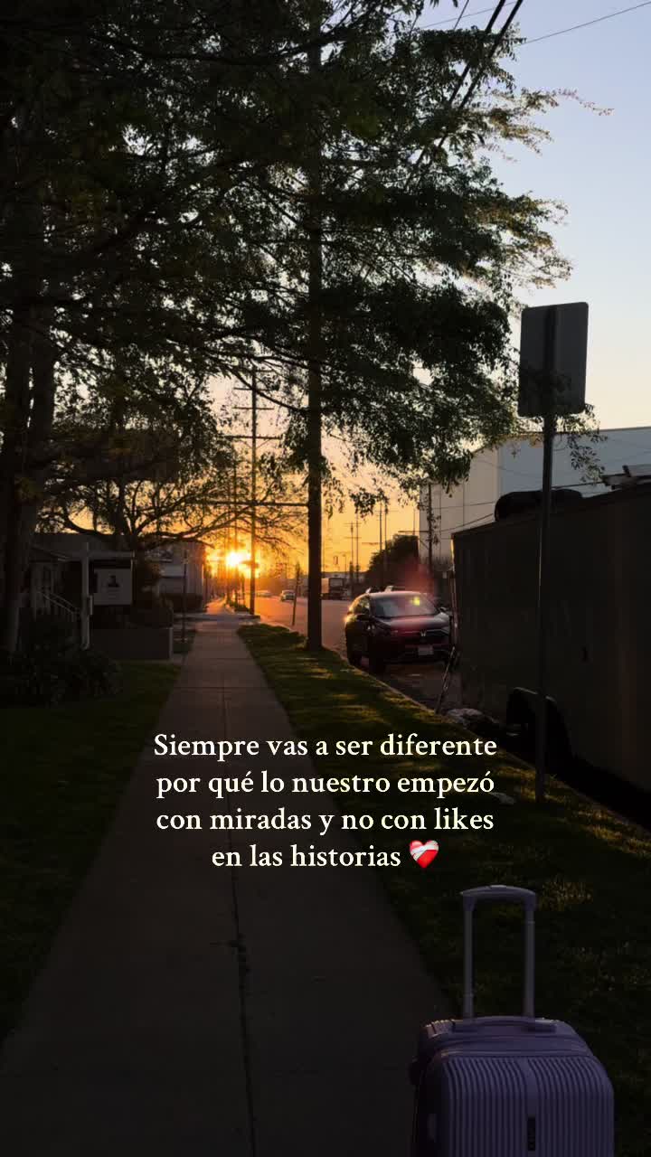 @Amalia Castro