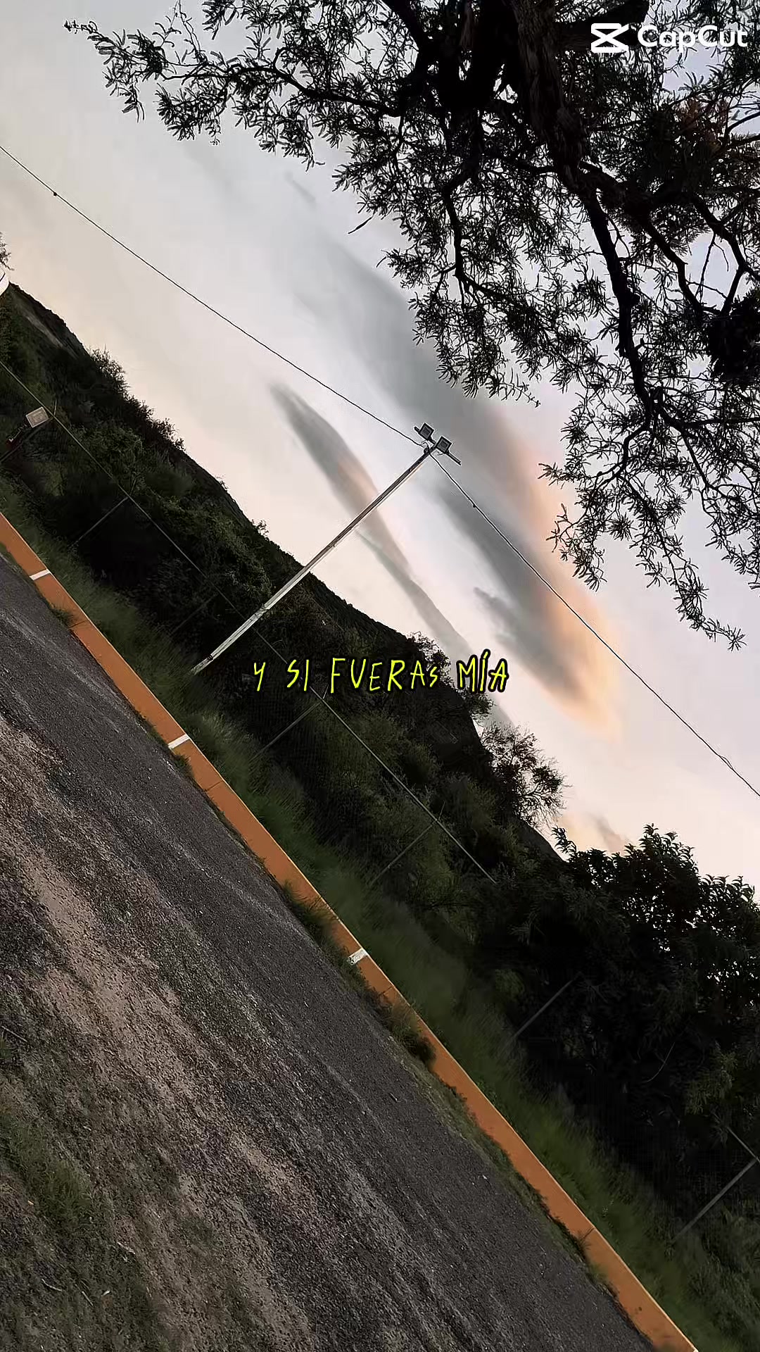 @ortega_le1136