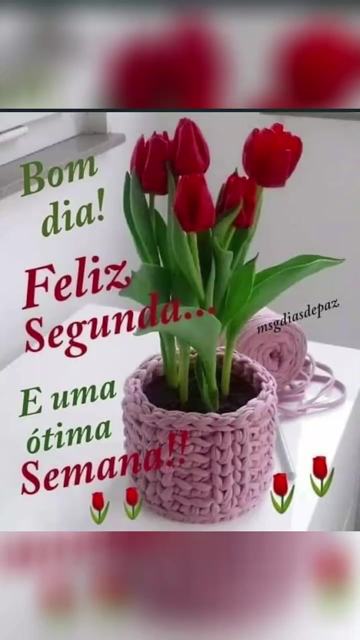@Opoetabeijaflor