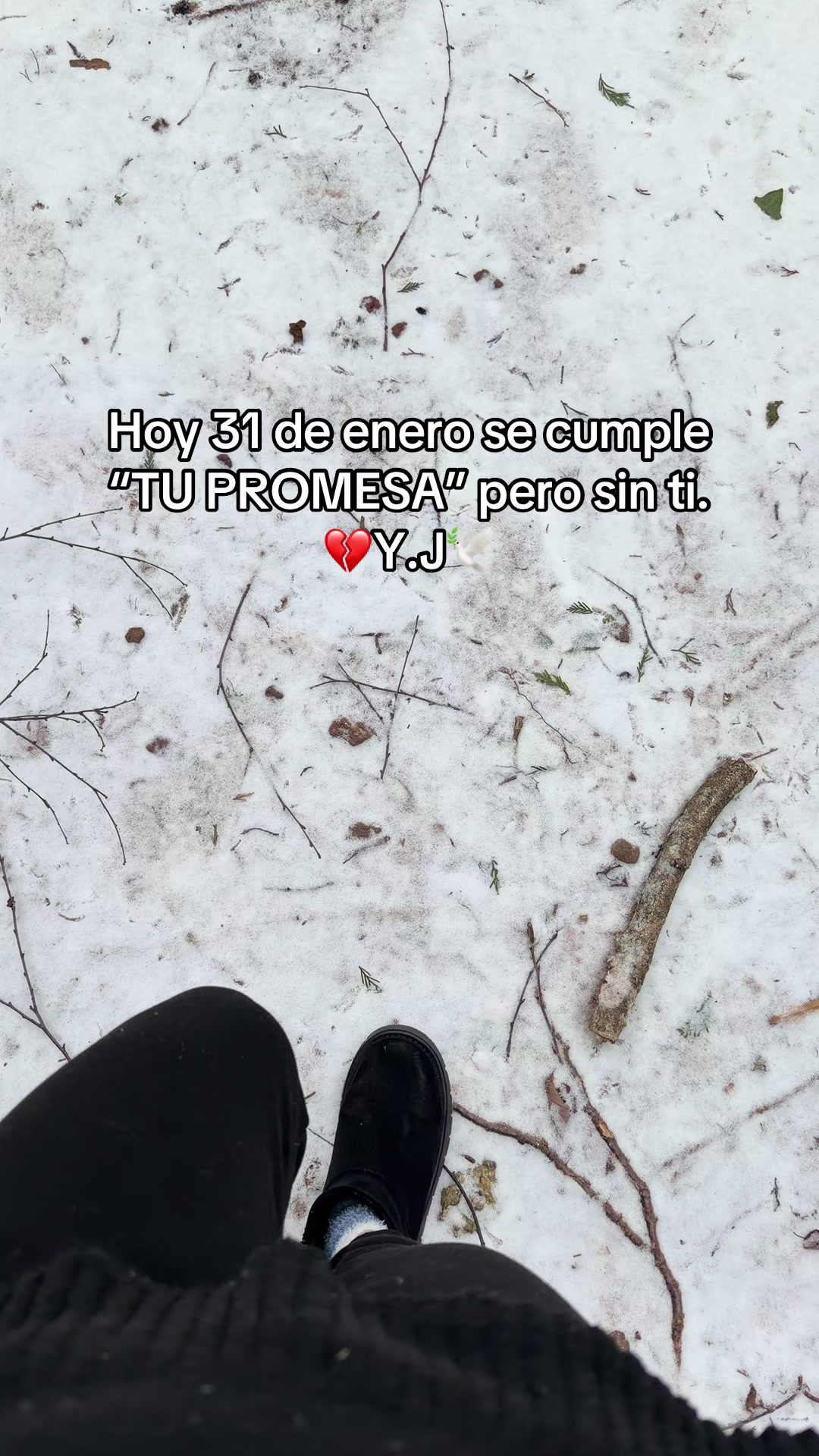 @JCG🐼