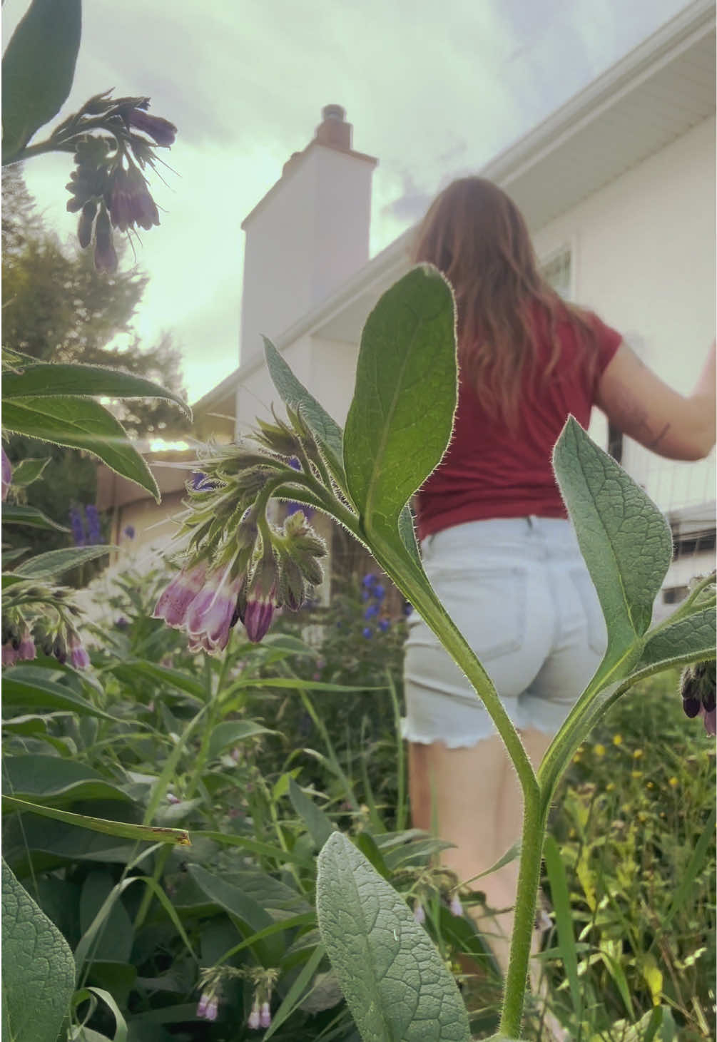 @MaddisunMusic
