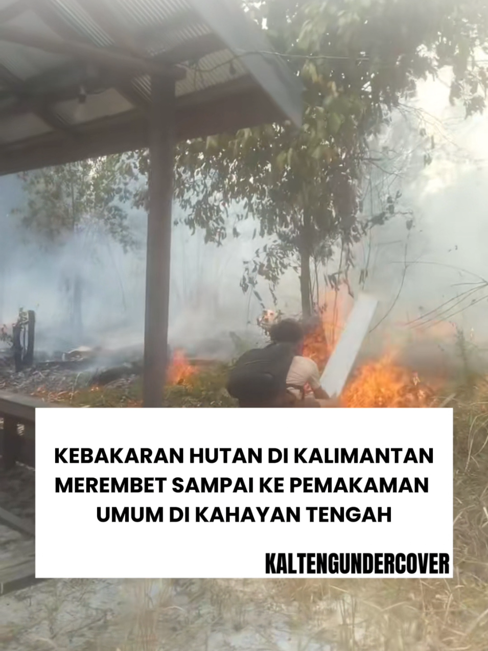 @kaltengundercover