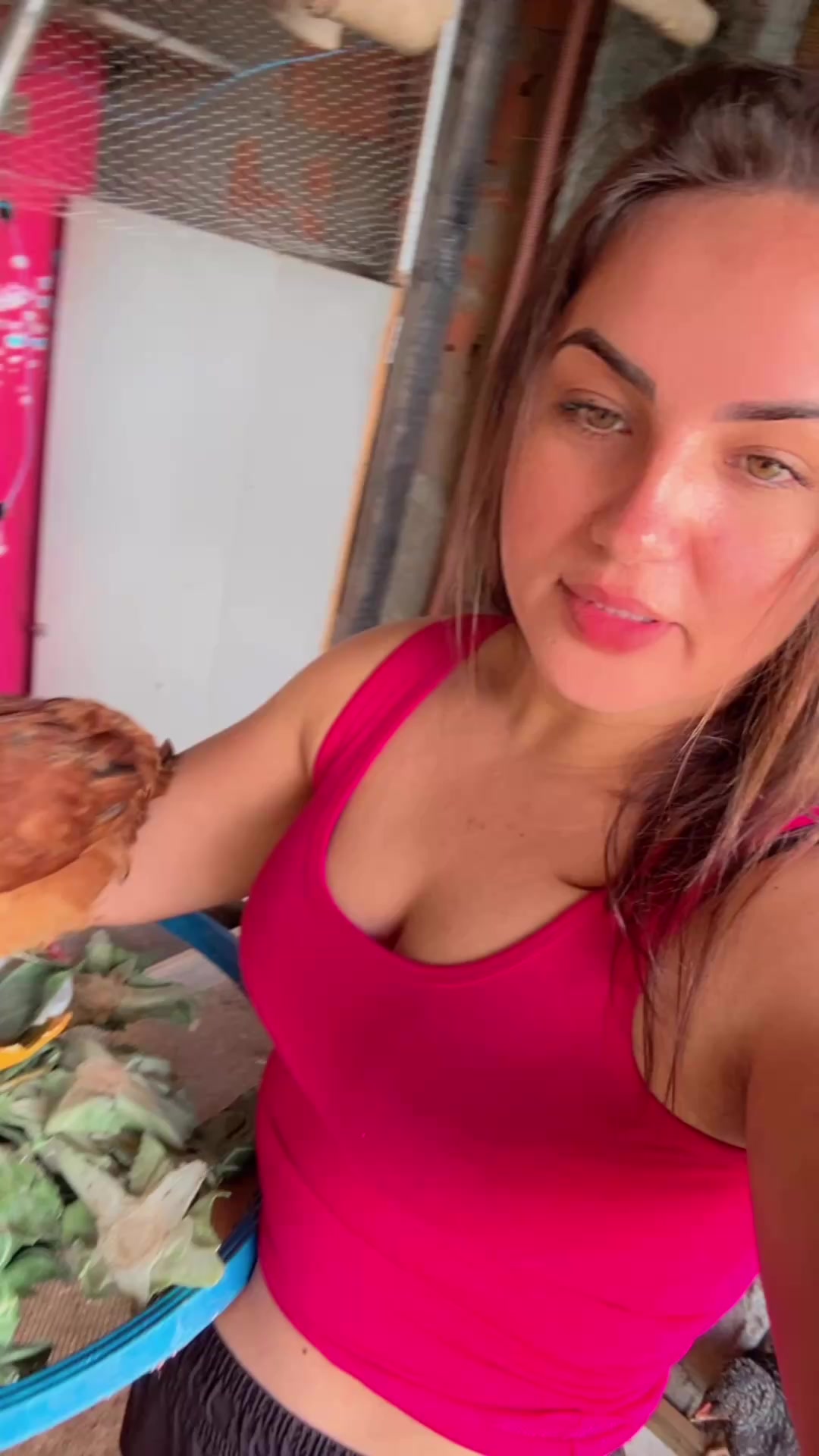 @Galinhas da Brandão 🐓🐣🐥🪿🥰