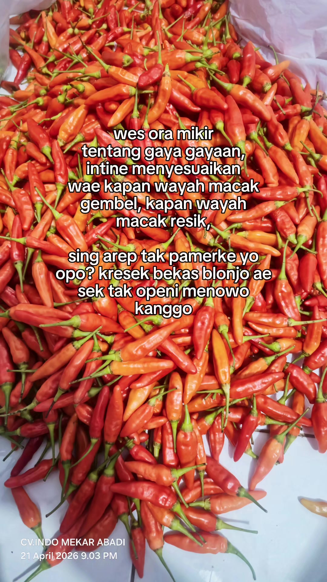 @supplier sayur dan buah sby