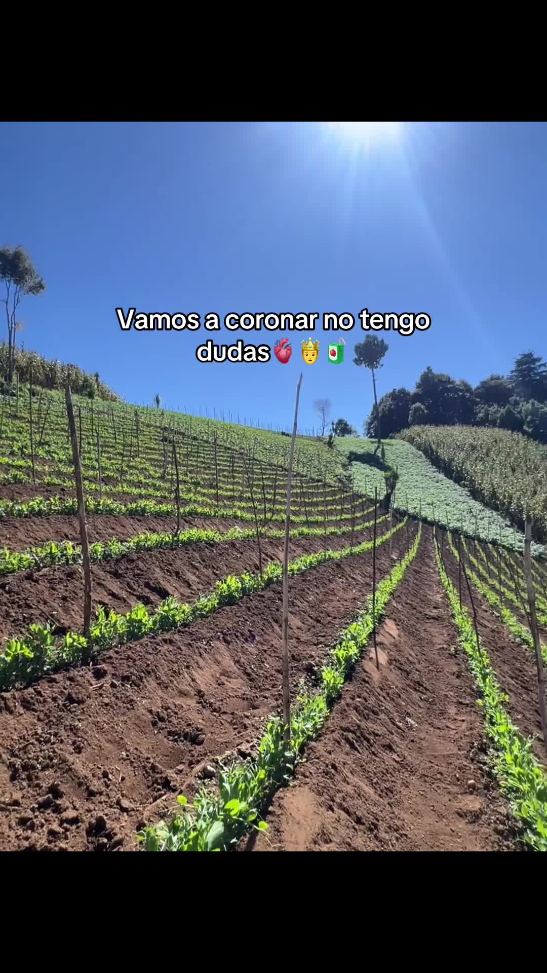 @Victor🌱🚜