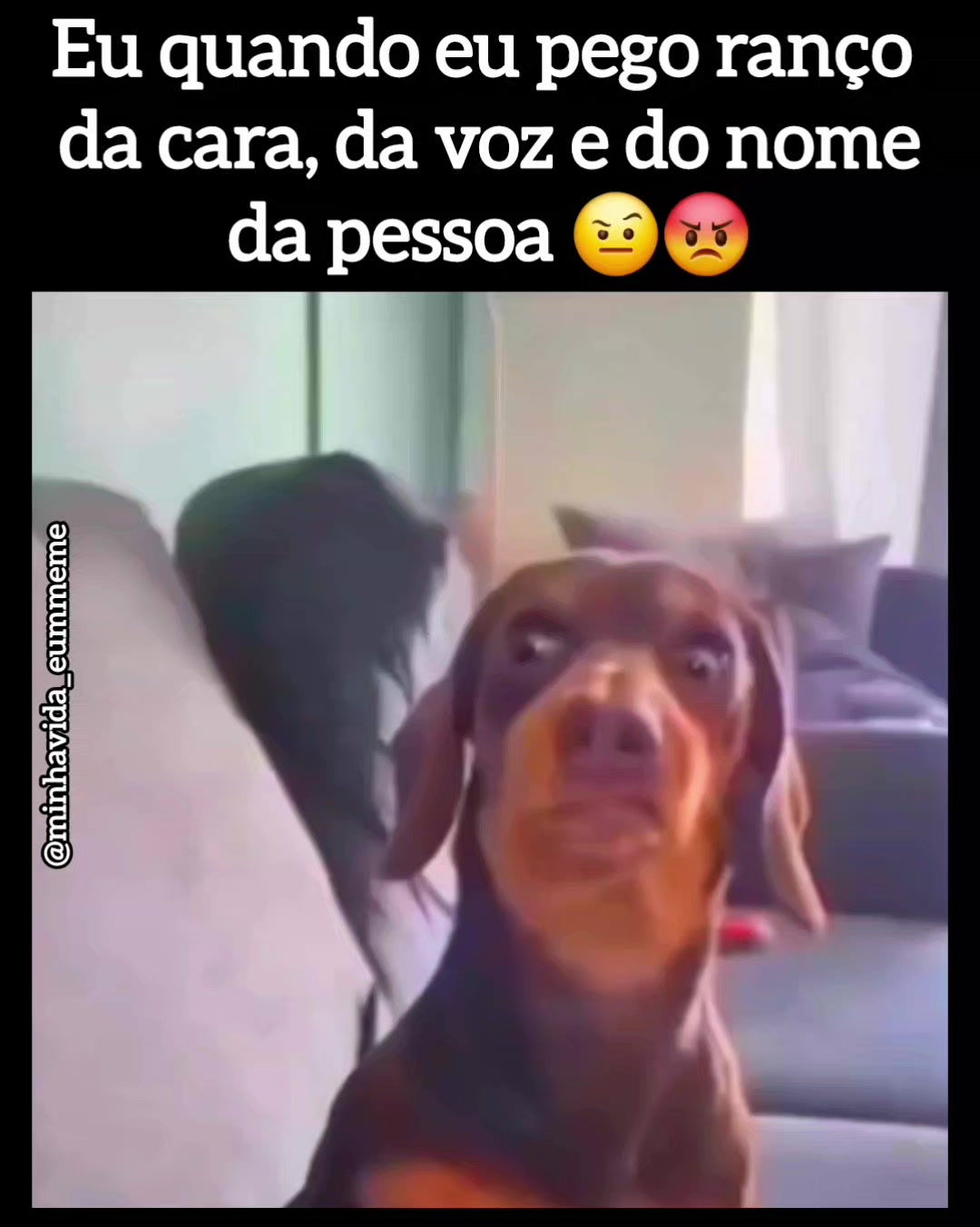 @"MINHA VIDA &Eacute; UM MEME"