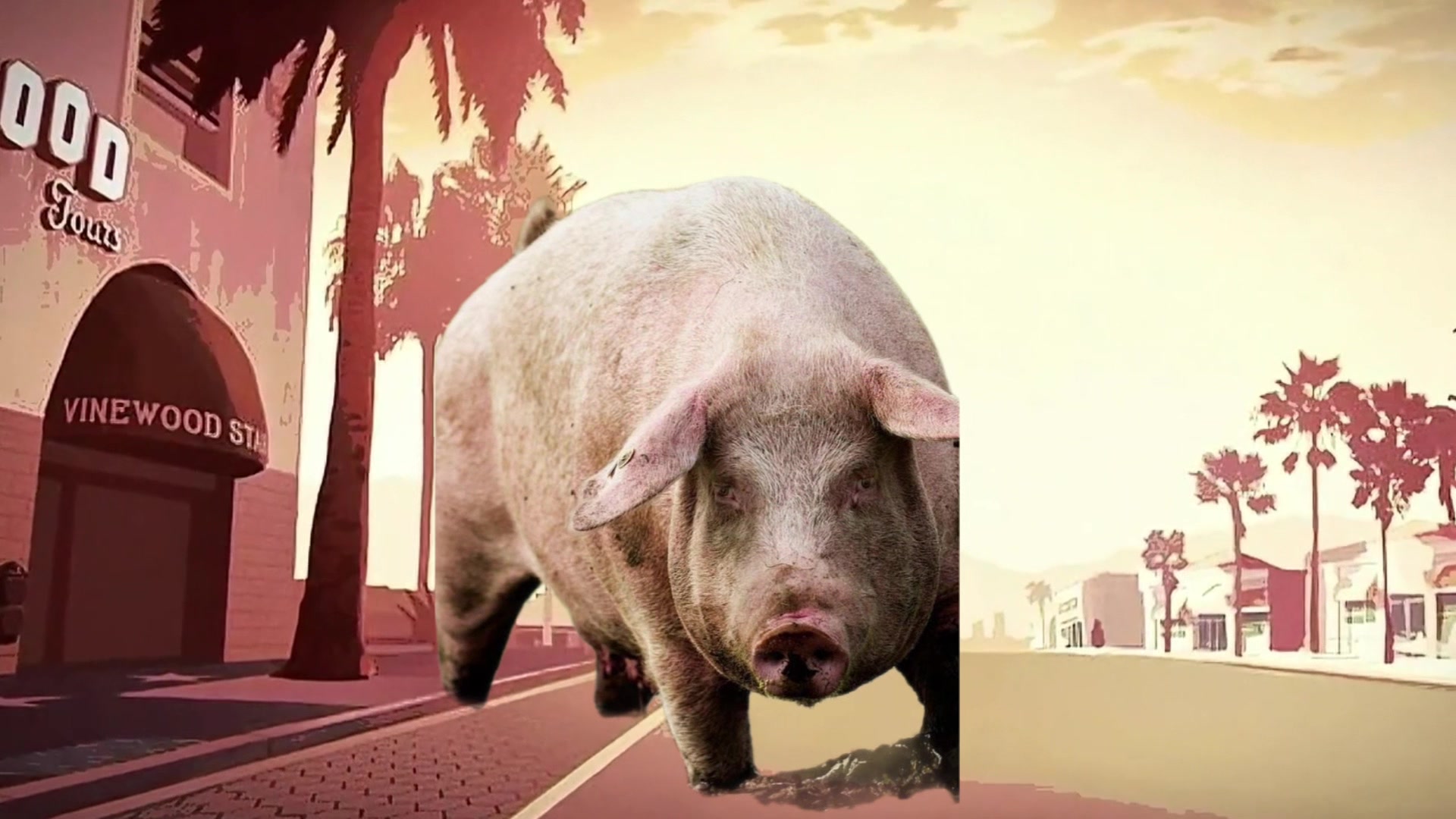 @биг свин🐖