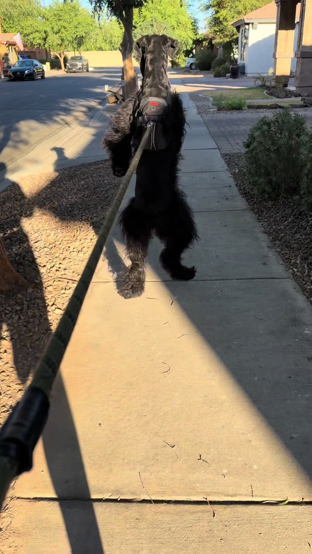 @Fiona Walks