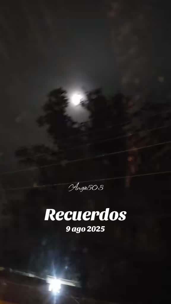 @araceliii343