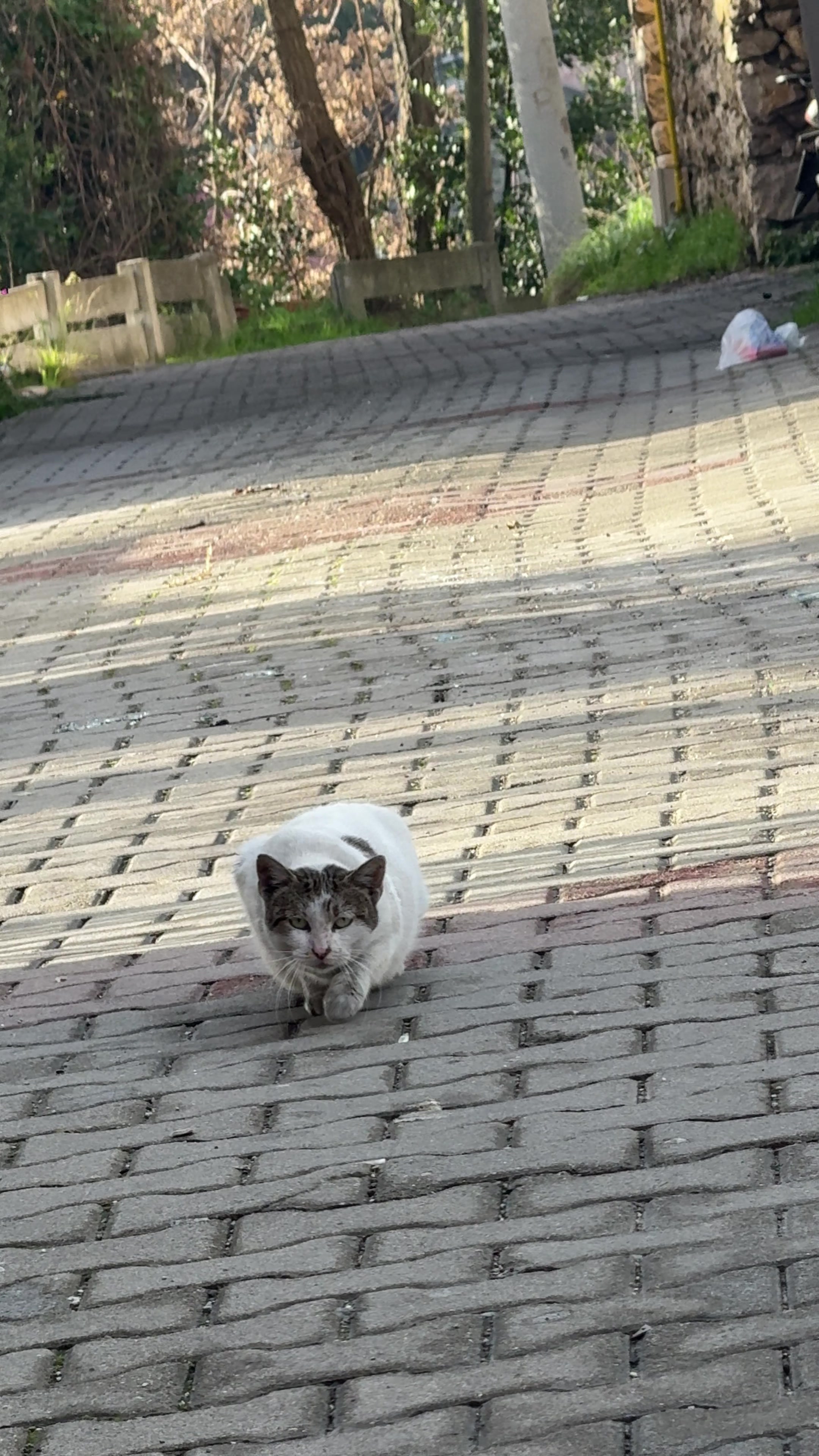 @recep katırcı