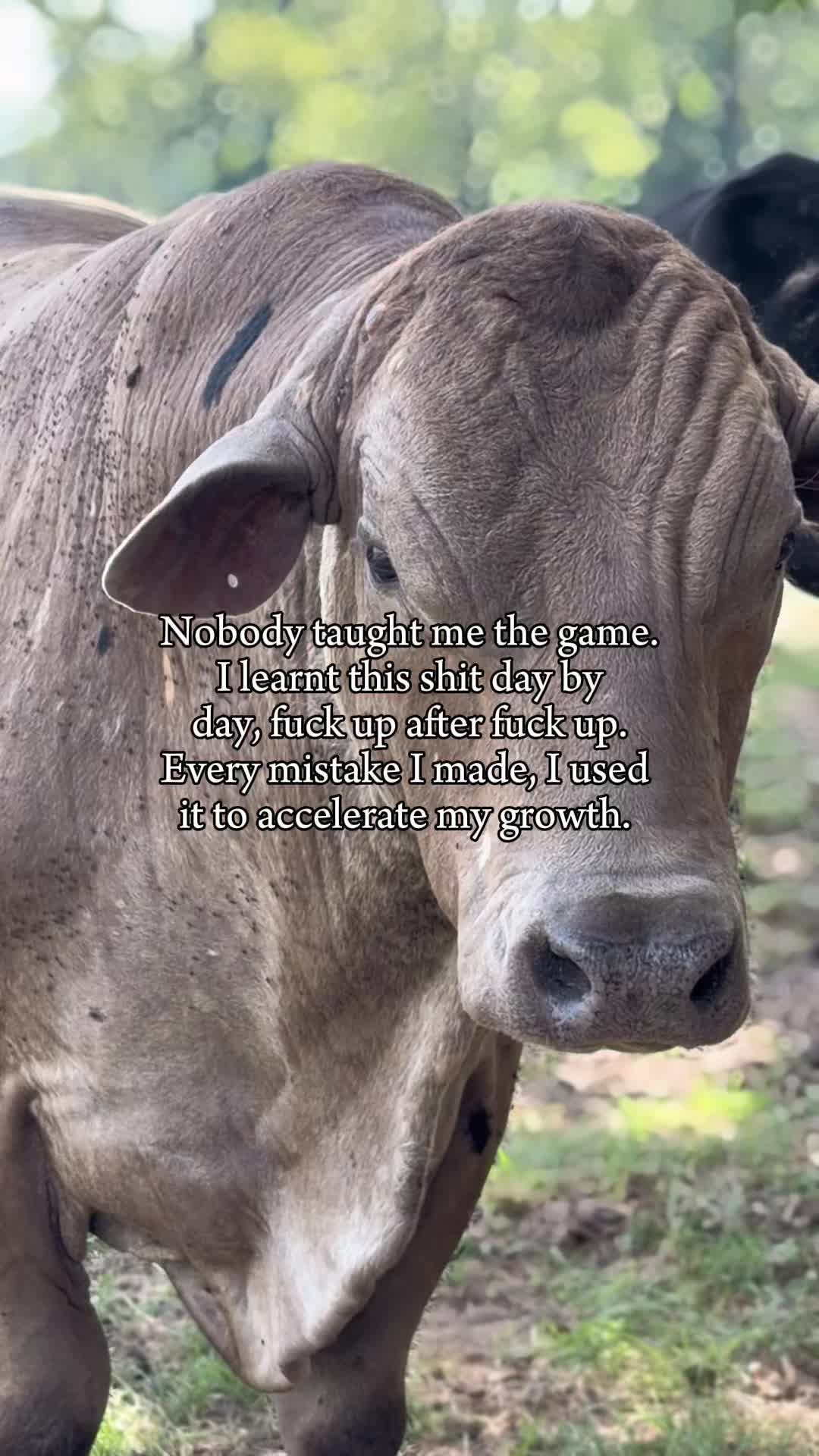 @ER/Trauma RN/Ranching/Farmlife