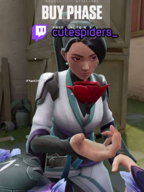 @cutespiders 🕷️🕸️