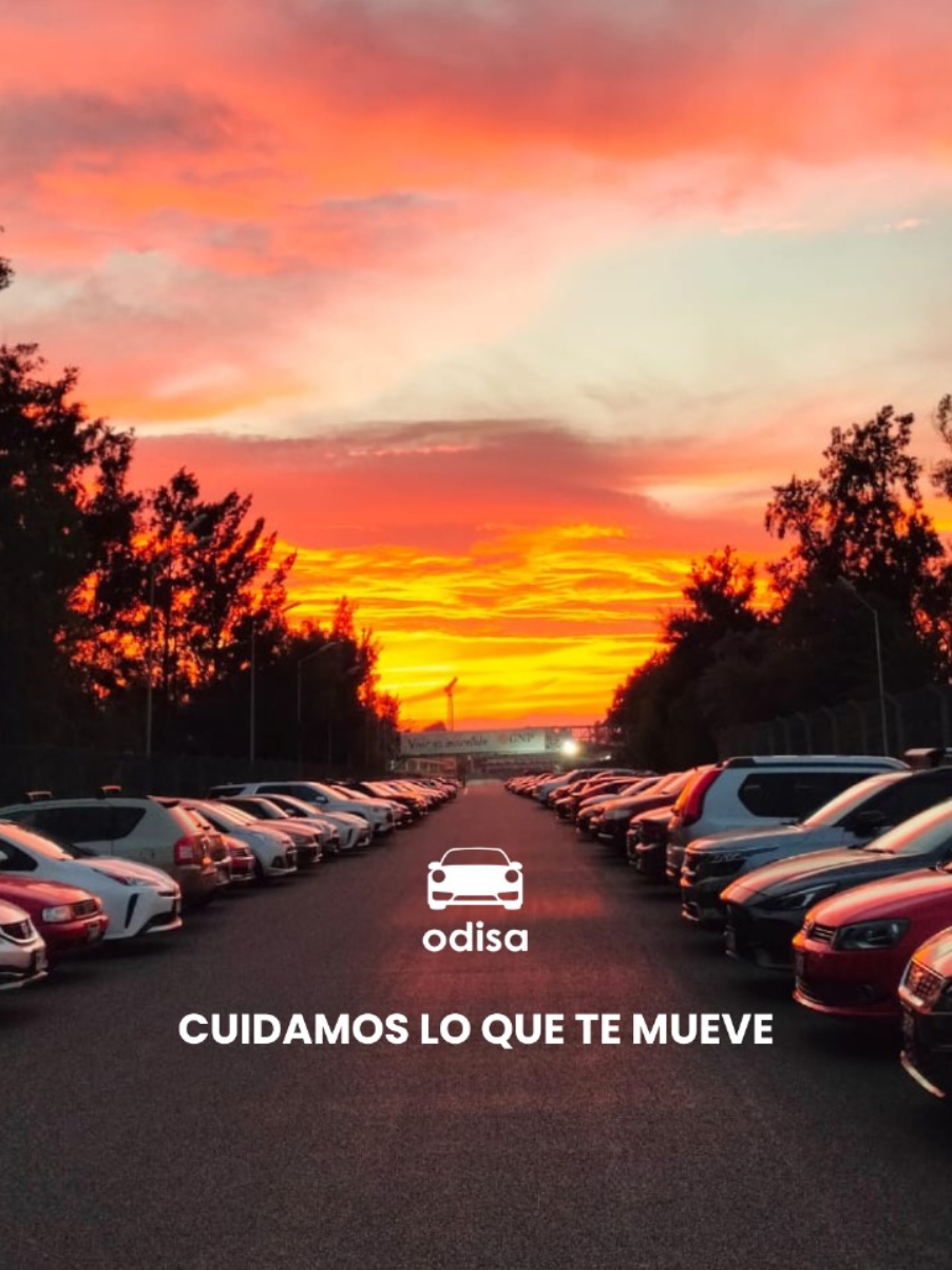 @Grupo Odisa