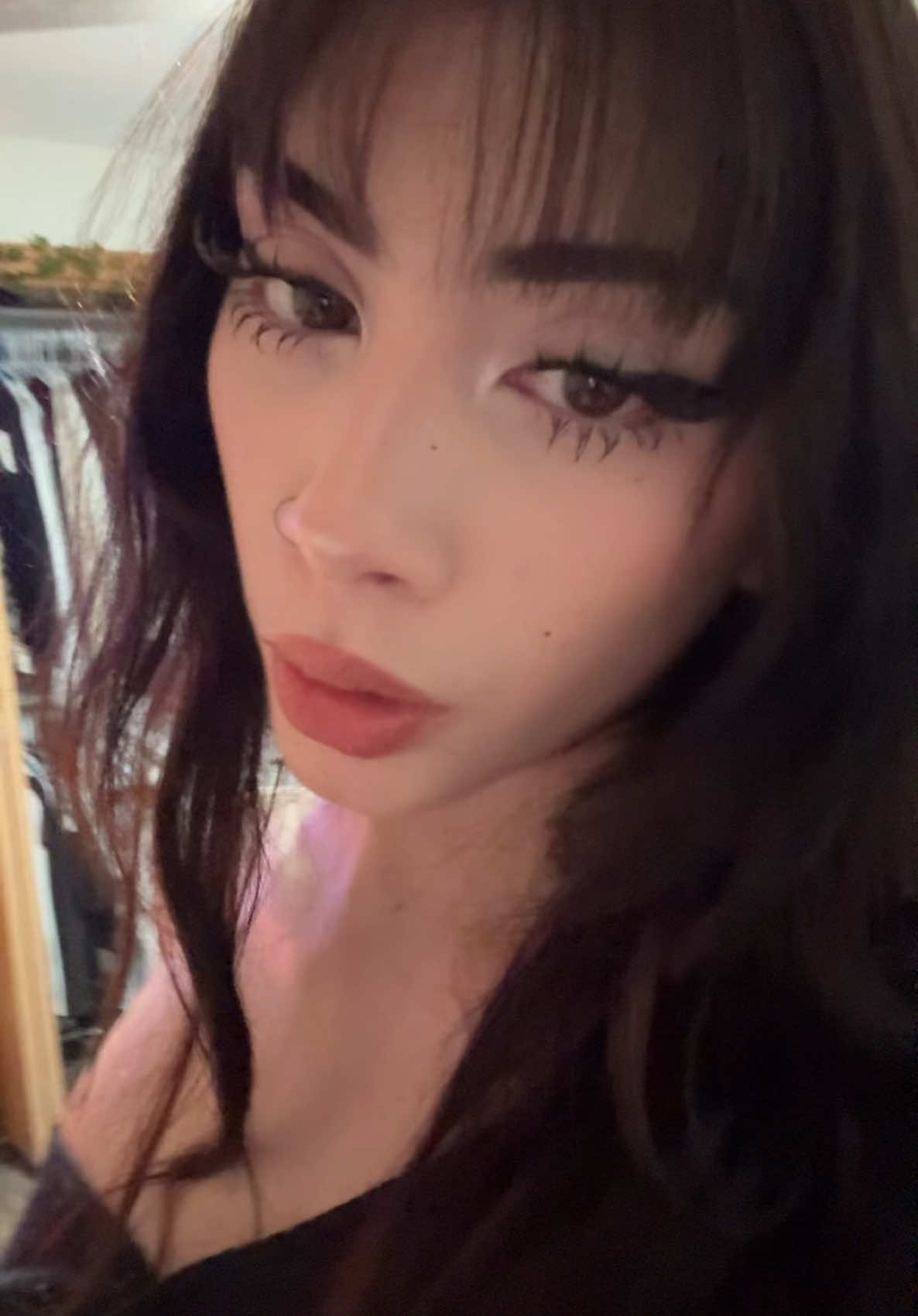 @🕊️