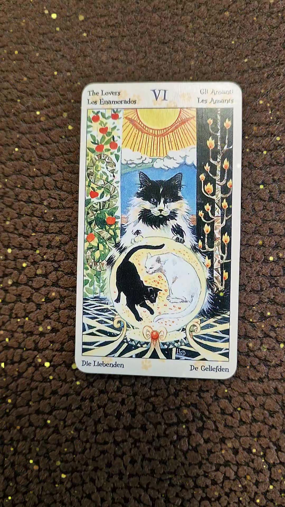 @Tarot Botschaft