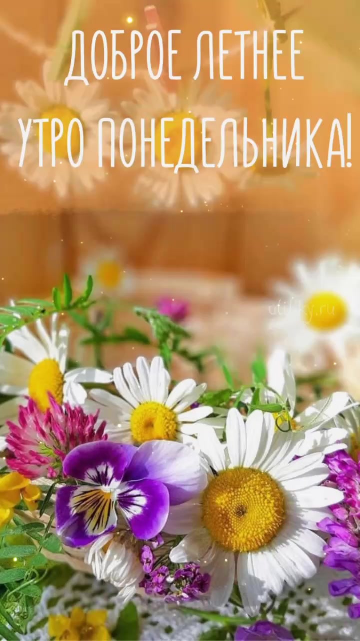 @Olya_1961