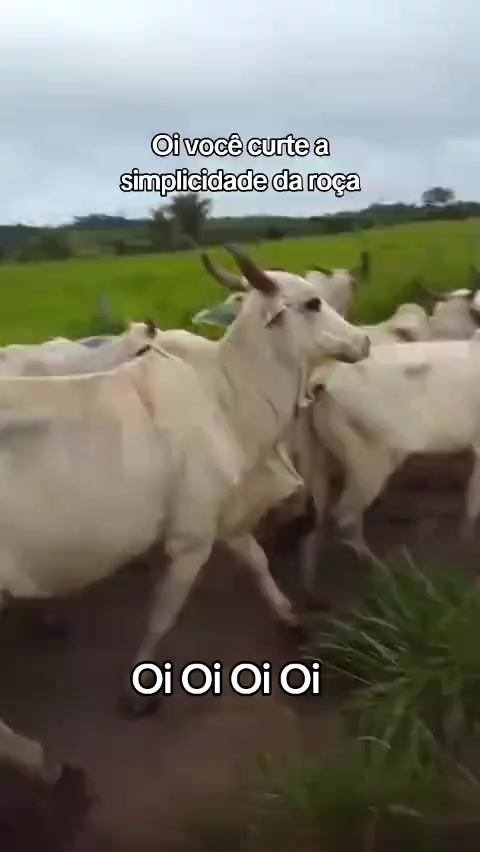 @Menina&Da roça🤠