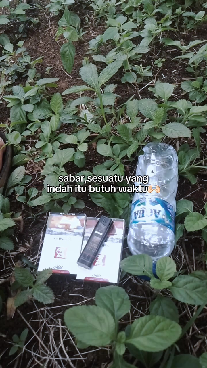 @👑ĐŌł4Ř-ŤÈ4M