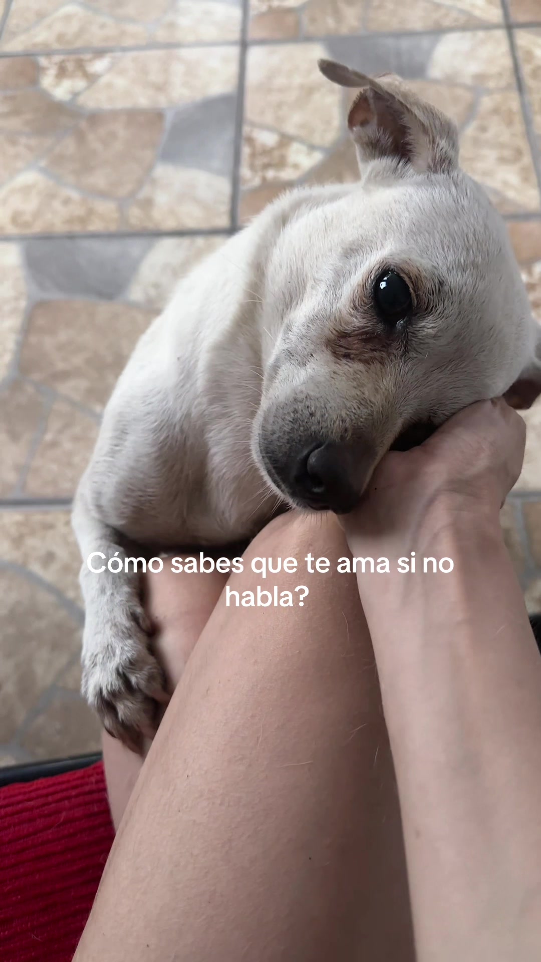 @Debany