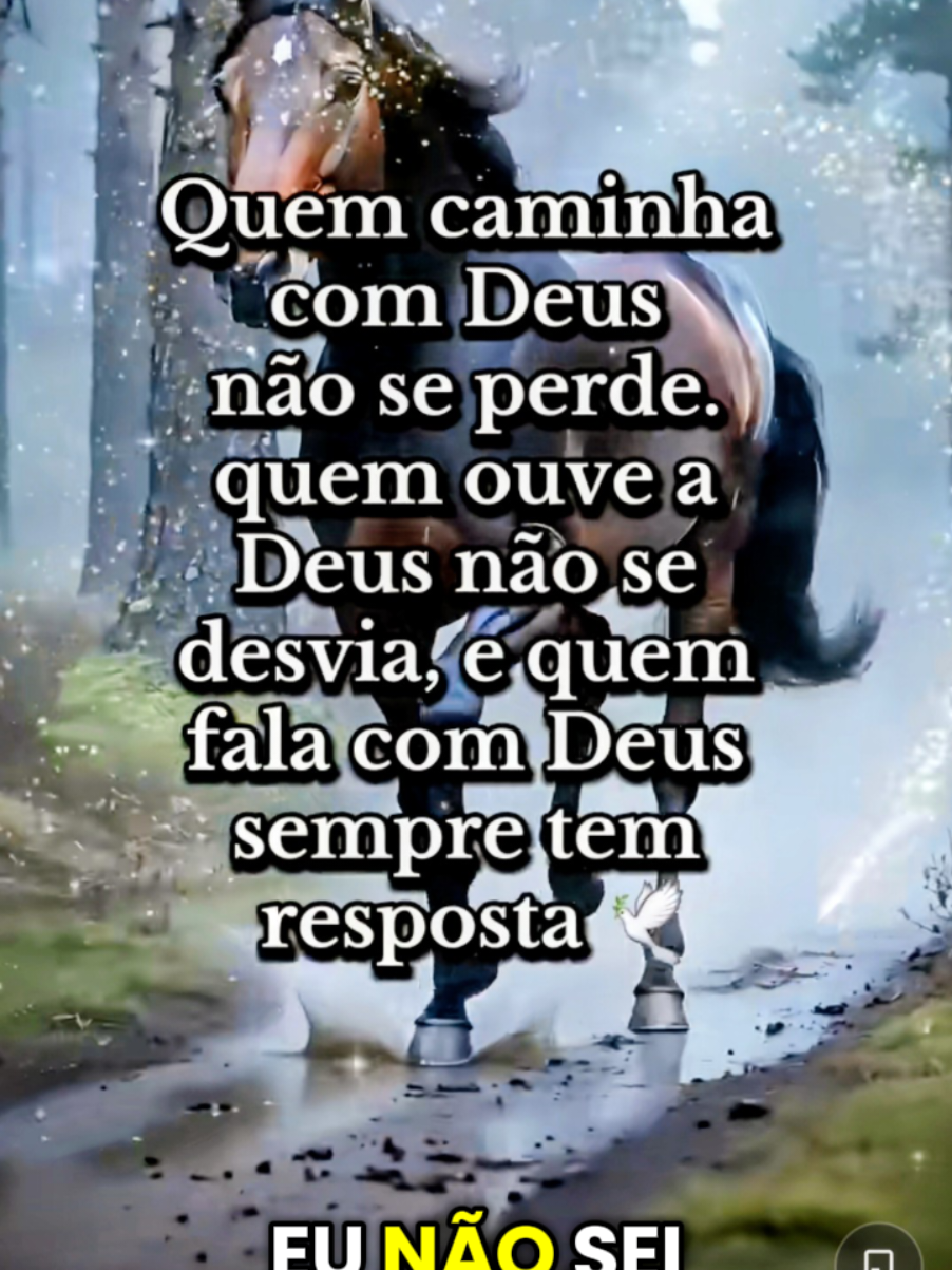 @motiva&ccedil;&atilde;o e reflex&atilde;o,louvor