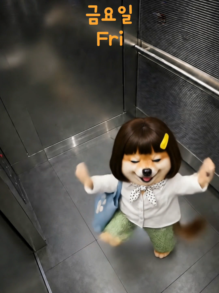 @뚱시바