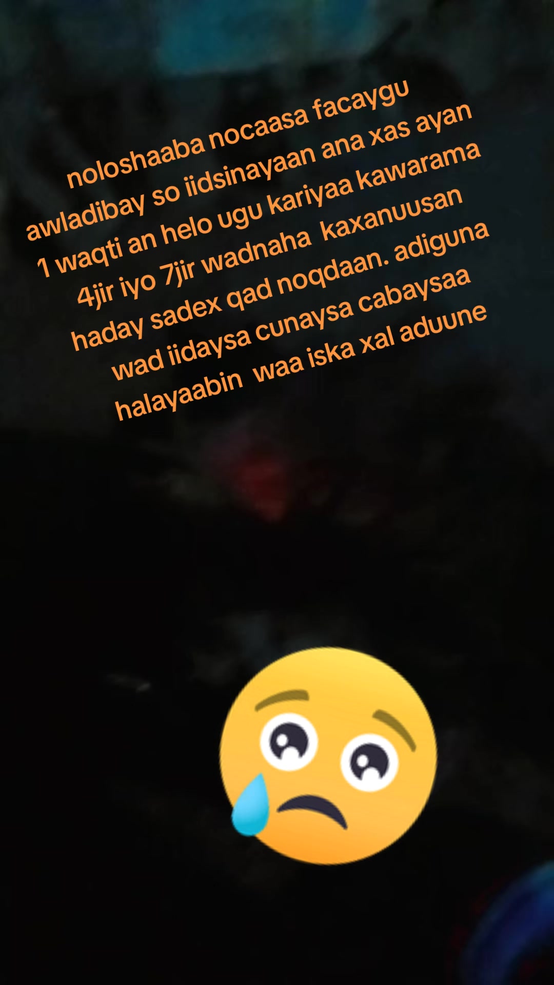 @umu sundus